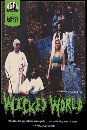 hd-Wicked World