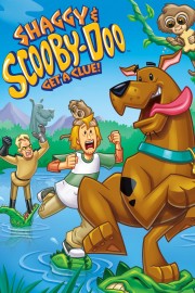hd-Shaggy & Scooby-Doo Get a Clue!