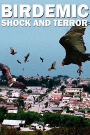 hd-Birdemic: Shock and Terror