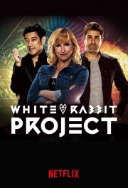 hd-White Rabbit Project