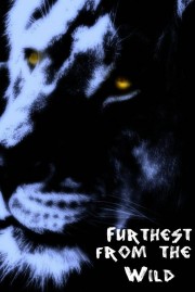 hd-Furthest from the Wild