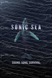 hd-Sonic Sea