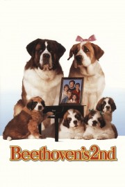 hd-Beethoven's 2nd