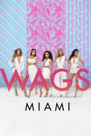 hd-WAGS Miami