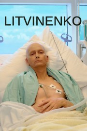 hd-Litvinenko