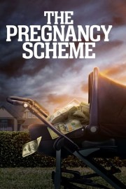 hd-The Pregnancy Scheme