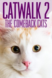 hd-Catwalk 2: The Comeback Cats