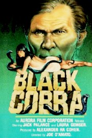 hd-Black Cobra