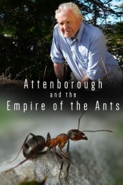 hd-Attenborough and the Empire of the Ants