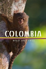 hd-Colombia - Wild and Free