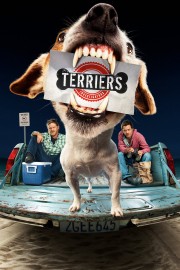 hd-Terriers