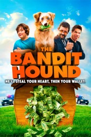 hd-The Bandit Hound