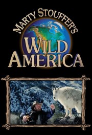 hd-Wild America