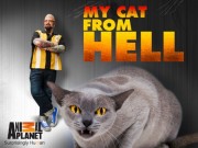 hd-My Cat from Hell