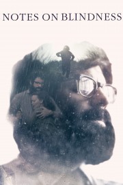 hd-Notes on Blindness
