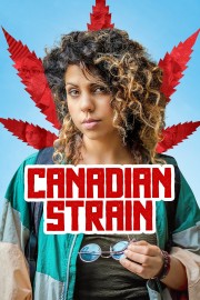 hd-Canadian Strain