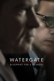 hd-Watergate: Blueprint for a Scandal