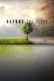 hd-Before the Flood