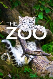 hd-The Zoo