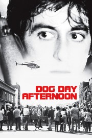 hd-Dog Day Afternoon