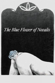 hd-The Blue Flower of Novalis