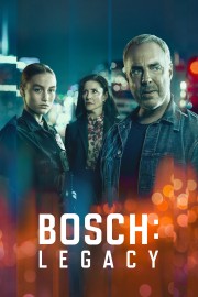 hd-Bosch: Legacy