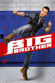 hd-Big Brother