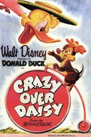 hd-Crazy Over Daisy