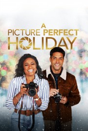 hd-A Picture Perfect Holiday