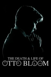 hd-The Death and Life of Otto Bloom
