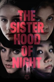 hd-The Sisterhood of Night