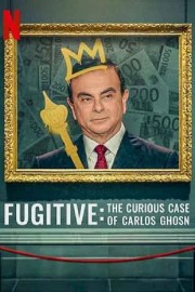 hd-Fugitive: The Curious Case of Carlos Ghosn