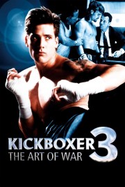 hd-Kickboxer 3: The Art of War