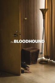 hd-The Bloodhound