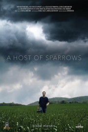 hd-A Host of Sparrows