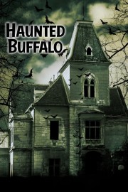 hd-Haunted Buffalo