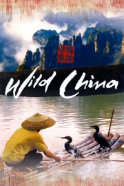 hd-Wild China