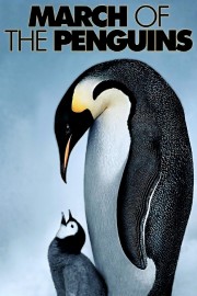 hd-March of the Penguins