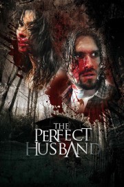 hd-The Perfect Husband