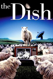 hd-The Dish