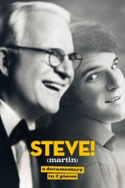 hd-STEVE! (martin) a documentary in 2 pieces