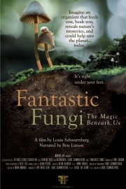 hd-Fantastic Fungi