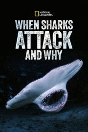 hd-When Sharks Attack... and Why