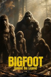 hd-Bigfoot: Beyond the Legend