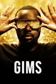 hd-GIMS: On the Record