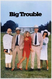 hd-Big Trouble