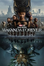 hd-Black Panther: Wakanda Forever