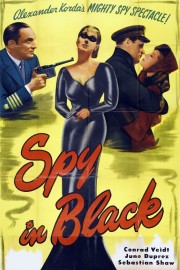 hd-The Spy in Black