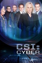 hd-CSI: Cyber