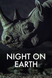 hd-Night on Earth